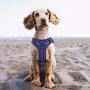 No-Pull Dog Harness, Reflective Adjustable Pet Harness with Front & Back - Soft Vest Easy Control Harness with Handle for Small Medium Large Dogs Outdoor Walking