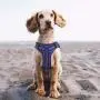 No-Pull Dog Harness, Reflective Adjustable Pet Harness with Front & Back - Soft Vest Easy Control Harness with Handle for Small Medium Large Dogs Outdoor Walking