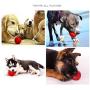LOVEPET 3 Pcs Solid Rubber Pet Dog Ball Training Teeth Chewing Pet Ball Biting Elastic Durable Portable Pet Toys