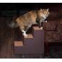 Pet Gear Pet Step with Stair Landing for Small Dogs, Miniatures, and Cats, for Pets up to 50 pounds