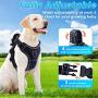 TAMOWA Dog Harness No Pull, Pet Harness with 2 Leash Clips, Adjustable Soft Padded Dog Vest and Reflective Breathable Oxford Soft Vest Easy Control Front Clip for Small Medium Large Dogs, Black, XXL