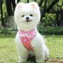 AUEAR, Soft Mesh Fabric Small Dog Vest Harness Girl Harness Leash Set Harness Leash Set for Small Dogs Puppy Vest Harness Cat Vest Harness Pink Color (Style B: Chest 11.8-19.7'', Neck 10'')