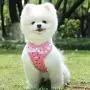 AUEAR, Soft Mesh Fabric Small Dog Vest Harness Girl Harness Leash Set Harness Leash Set for Small Dogs Puppy Vest Harness Cat Vest Harness Pink Color (Style B: Chest 11.8-19.7'', Neck 10'') AUEAR, Soft Mesh Fabric Small Dog Vest Harness Girl Harness Leash Set Harness Leash Set for Small Dogs Puppy Vest Harness Cat Vest Harness Pink Color (Style B: Chest 11.8-19.7'', Neck 10'')