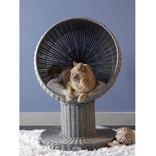 THE REFINED FELINE Kitty Ball Cat Bed, Curved Raised Shape, with Soft Washable Cushion, Scratch Proof Poly Rattan Bed for Cats and Kittens THE REFINED FELINE Kitty Ball Cat Bed, Curved Raised Shape, with Soft Washable Cushion, Scratch Proof Poly Rattan Bed for Cats and Kittens