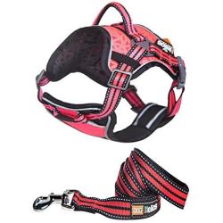 DOGHELIOS Journey Wander Chest Compressive Sporty Adjustable Travel Pet Dog Harness and Leash Combination, Small, Pink
