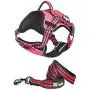 DOGHELIOS Journey Wander Chest Compressive Sporty Adjustable Travel Pet Dog Harness and Leash Combination, Small, Pink DOGHELIOS Journey Wander Chest Compressive Sporty Adjustable Travel Pet Dog Harness and Leash Combination, Small, Pink