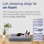 Casper Dog Bed, Plush Memory Foam, Medium, Blue