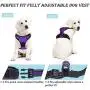 Dog Harness, No-Pull Pet Harness with a Matching dog Leash - Breathable Chest Padded Mesh Adjustable Reflective Dog Vest, Front/Back Leash Clips and Easy Control Handle for Outdoor Walking Training Dog Harness, No-Pull Pet Harness with a Matching dog Leash - Breathable Chest Padded Mesh Adjustable Reflective Dog Vest, Front/Back Leash Clips and Easy Control Handle for Outdoor Walking Training