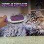 Double-Sided Pet Brush for Grooming & Massaging Dogs, Cats & Other Animals – Fur Detangling Pins & Coat Smoothing Slicker Bristles, Double The Brushing Groom Power in One Tool