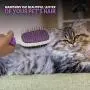 Double-Sided Pet Brush for Grooming & Massaging Dogs, Cats & Other Animals – Fur Detangling Pins & Coat Smoothing Slicker Bristles, Double The Brushing Groom Power in One Tool Double-Sided Pet Brush for Grooming & Massaging Dogs, Cats & Other Animals – Fur Detangling Pins & Coat Smoothing Slicker Bristles, Double The Brushing Groom Power in One Tool