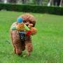 Mr.yang Dog Toys Squeaky Plush Dog Toys Puppy Pet Toys（Pink&Blue）