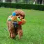 Mr.yang Dog Toys Squeaky Plush Dog Toys Puppy Pet Toys（Pink&Blue）
