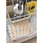 Rabbit Foot Pad Toy Small Animals Bunny Chinchilla Guinea Pig Rabbit Totoro Hedgehog Hamster Scratching Pads Antiskid Edible Natural Wood Board
