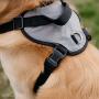 Coastal Pets Inspire Harness 5/8'' x 20''-30'' Inspire Aqua
