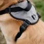 Coastal Pets Inspire Harness 5/8'' x 20''-30'' Inspire Red Coastal Pets Inspire Harness 5/8'' x 20''-30'' Inspire Red