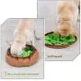 AWOOF Pet Snuffle Mat for Dogs, Interactive Feed Game for Boredom, Encourages Natural Foraging Skills for Cats Dogs Bowl Travel Use, Dog Treat Dispenser Indoor Outdoor Stress Relief AWOOF Pet Snuffle Mat for Dogs, Interactive Feed Game for Boredom, Encourages Natural Foraging Skills for Cats Dogs Bowl Travel Use, Dog Treat Dispenser Indoor Outdoor Stress Relief
