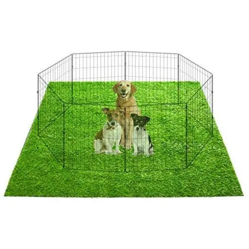Puppy Pads, 34'' x 28'' XXL-Large, Ultra Absorbent - All Day Premium Dog Pads - 42 Count by Petphabet