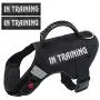 CREATOR 2 Pack Dog Patches with Hook Backing 2 x 6 Inch -Service Dog, Service Dog in Training, in Training for Harnesses, Collars, Leashes CREATOR 2 Pack Dog Patches with Hook Backing 2 x 6 Inch -Service Dog, Service Dog in Training, in Training for Harnesses, Collars, Leashes