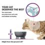 Y YHY Cat Water Bowl,Raised Cat Food Dish,Elevated Cat Bowl No Spill,Ceramic Pet Bowls for Cats or Small Dogs,Dishwasher Safe