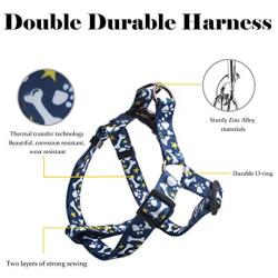 QQPETS Dog Harness Leash Set,Adjustable Vest Durable Heavy Duty Puppy Small Medium Large Dogs Perfect for Walking Running Training Bone Pattern