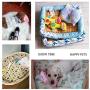 FISHDOG Pet Bed Pillow, an Ideal Naptime Sleeping Companion for Small Dogs and Cats, Cartoon Plush Toy FISHDOG Pet Bed Pillow, an Ideal Naptime Sleeping Companion for Small Dogs and Cats, Cartoon Plush Toy
