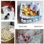 FISHDOG Pet Bed Pillow, an Ideal Naptime Sleeping Companion for Small Dogs and Cats, Cartoon Plush Toy