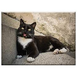 Triple Blank Wall Plate Cover - Gato Cat Animal Kitty Cute Feline Pet Meow