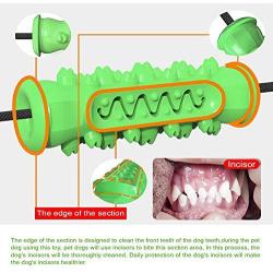 CHENLU Pet Supplies Multifunctional pet Molar Biting Dog Toy Rubber Chewing Ball Cleaning Teeth Safe Elastic TPR Soft Puppy Sucker Biting Dog Toy