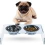ZEXPRO Acrylic Elevated Pet Bowls - Raised Clear Feeding Stand for Cats and Small Dogs - 2 Stainless Steel Food Container No Splash, Spill, Messy Floors Feed Pedestal