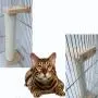 ZARYIEEO Cat Scratching Post, Cage Mounted Cat Activity Tree, Cat Furniture, Claw Scratcher Post Covered with Natural Sisal Rope, Cat House Accessory Scratching Pole for Kitten ZARYIEEO Cat Scratching Post, Cage Mounted Cat Activity Tree, Cat Furniture, Claw Scratcher Post Covered with Natural Sisal Rope, Cat House Accessory Scratching Pole for Kitten