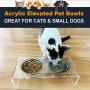 ZEXPRO Acrylic Elevated Pet Bowls - Raised Clear Feeding Stand for Cats and Small Dogs - 2 Stainless Steel Food Container No Splash, Spill, Messy Floors Feed Pedestal