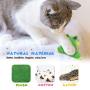 Catnip Cat Toys for Indoor Cats, 12 Pack Interactive Cat Toy with Crinkle, Squeaky, Rattle Sound, Kitten Stuffed Animal Cat Toy Set Assorted Plush Pet Toys, Cat Chew Toy for Chewing, Hunting, Teething