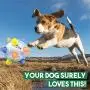 Dheera Jumping Activation Ball, Durable Reusable Cute Pet Bouncy Ball, Dog Rolling Ball Funny Toys for Dogs Playing Running Dheera Jumping Activation Ball, Durable Reusable Cute Pet Bouncy Ball, Dog Rolling Ball Funny Toys for Dogs Playing Running