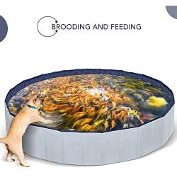 INF Foldable PVC Dog Pool XLL - Swimming Pool for Cat and Kid - No Slip Bath Pool for Large Pet - Gray