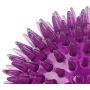 Squeaker Ball Dog Toy, TPR, Bouncy, Floating, Teeth Cleaning, 3.35'' Diameter, for Medium and Small Dogs - Random Colour