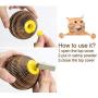 Cat Scratch Toy, Upgraded Cat Toys for Indoor Cats, Cardboard Chew Toy for Kittens, Refillable Catnip Toy Cat Tickle Toy Set with Catnip, Cat Interactive Toys for Kitten Scratching Playing