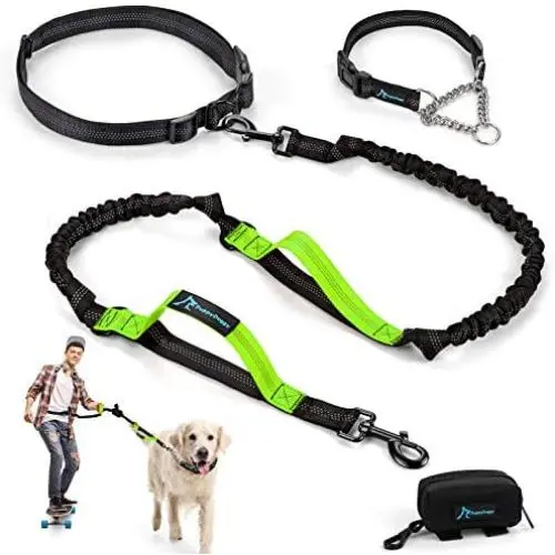 PuppyDoggy Hands Free Dog Leash Reflective 6 ft for Large and Medium Dogs with Adjustable Waist Belt & Chain Martingale Dog Collar & Poop Bag Dispenser for Running Walking Training (Large, Green)