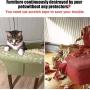 Binary Barn Cat Scratch Deterrent Training Tape,Cat Couch Protector,Anti Scratching Protection Tape,Furniture Protectors from Cats,Clear Double Sided Tape