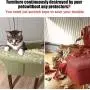 Binary Barn Cat Scratch Deterrent Training Tape,Cat Couch Protector,Anti Scratching Protection Tape,Furniture Protectors from Cats,Clear Double Sided Tape Binary Barn Cat Scratch Deterrent Training Tape,Cat Couch Protector,Anti Scratching Protection Tape,Furniture Protectors from Cats,Clear Double Sided Tape