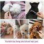 PetQoo Dog Cat Grooming Comb, 2 Pack Stainless Steel Dog Combs with Rounded Ends Teeth for Removing Tangles, Mats, Loose Hair for Long and Short Haired Dog