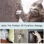 CBROSEY Cat Couch Protector,Cat Furniture Protector,Cat Scratch Deterrent Dape,Anti-Scratch Cat Scratching Deterrent Tape,Guards for Carpet,Sofa,Couch CBROSEY Cat Couch Protector,Cat Furniture Protector,Cat Scratch Deterrent Dape,Anti-Scratch Cat Scratching Deterrent Tape,Guards for Carpet,Sofa,Couch