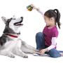 JOONOR Value Pack Durable Dog Chew Toys for Aggressive Chewers Small, Medium Dogs and Puppies Dental Cleaning Stress Relieving