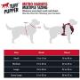 Tuff Pupper Small (13-17’) Heavy Duty Dog Collar with Handle and Medium Midnight Blue Metro - No Pull Dog Harness Bundle
