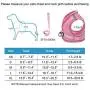 Anbeer Dog Harness and 5ft Leash, Adjustable Soft Padded Pet Vest with Reflective Band for Small and Medium Dogs Anbeer Dog Harness and 5ft Leash, Adjustable Soft Padded Pet Vest with Reflective Band for Small and Medium Dogs