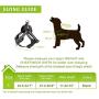 WINSEE Dog Harness and Collar Set for Large Dogs Black, Reflective Adjustable Step in Dog Halter Harnesses no Pull with Cobra Buckle Dog Collar Heavy Duty, Soft Padded Pet Vest Walking Harness