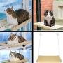 Window Cat Bed, Angela&Alex Cat Window Seat Window Perch Bed Hammock with 2 Extra Replaceable Suction Cups Space Saving All-Around 360° Sunbath Holds Up to 55 lbs for Any Cat Size