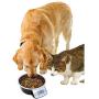 Eyenimal Intelligent Pet Bowl