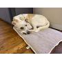 ALL FOR PAWS Top Body Heat Conducting Pet Bed - Comfy Memory Foam Cushion - Doubles as Crate Mat Pets from Large Breed Dogs to a Litter of Kittens or Cat - 29” x 19” x 2”