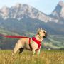 Curli Basic Air Mesh Harness