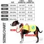 SafetyPUP XD - Protect Your Best Friend. Hi-Vis Fluorescent, Reflective Dog Vest Provides Crucial Visibility Helping You Safeguard Your Pet from Cars & Rural Accidents, On or Off Leash SafetyPUP XD - Protect Your Best Friend. Hi-Vis Fluorescent, Reflective Dog Vest Provides Crucial Visibility Helping You Safeguard Your Pet from Cars & Rural Accidents, On or Off Leash